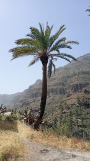GC-Fataga 2026-117.jpg